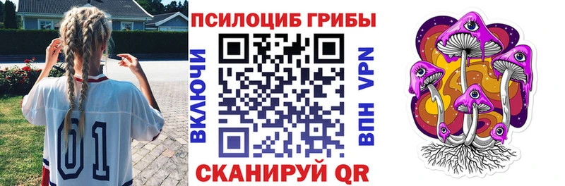 Галлюциногенные грибы GOLDEN TEACHER  хочу наркоту  Салаир 